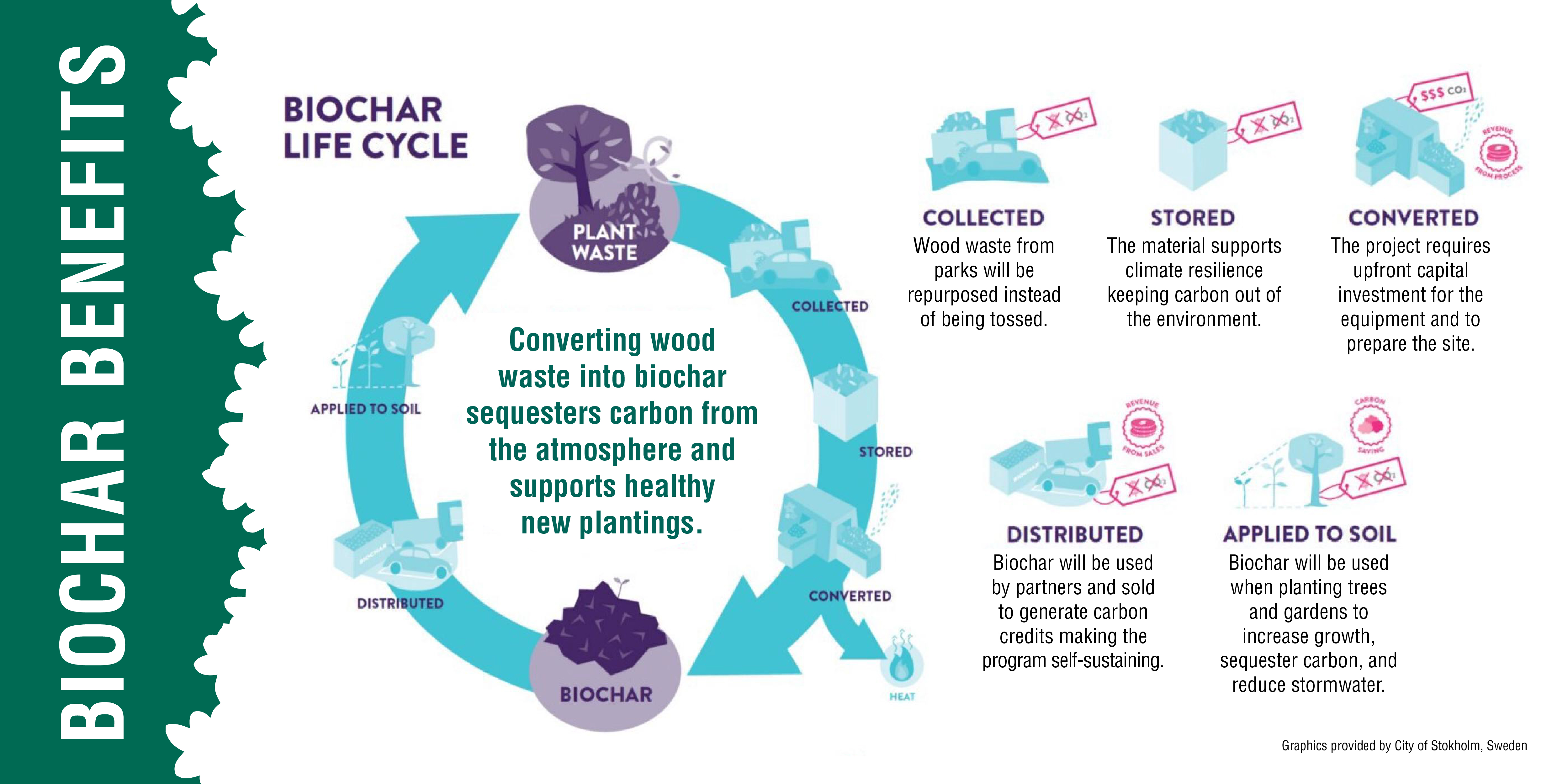 biochar graphic